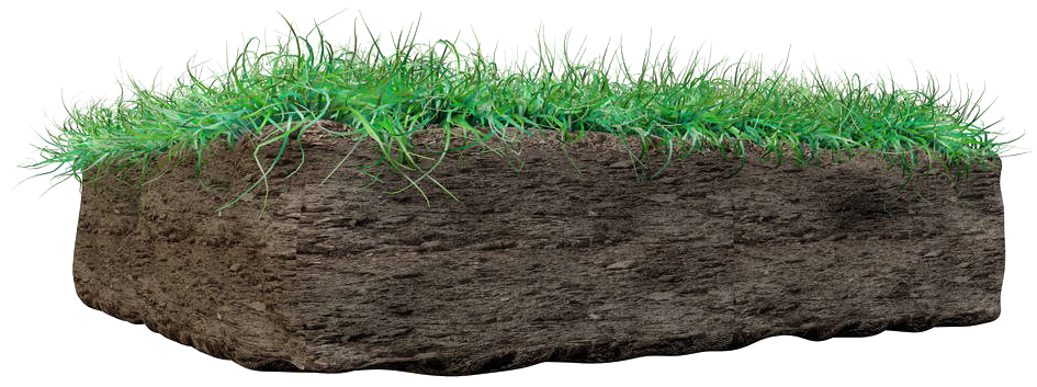 Grass On Mud Png Image - Lawn Clipart (1000x750), Png Download