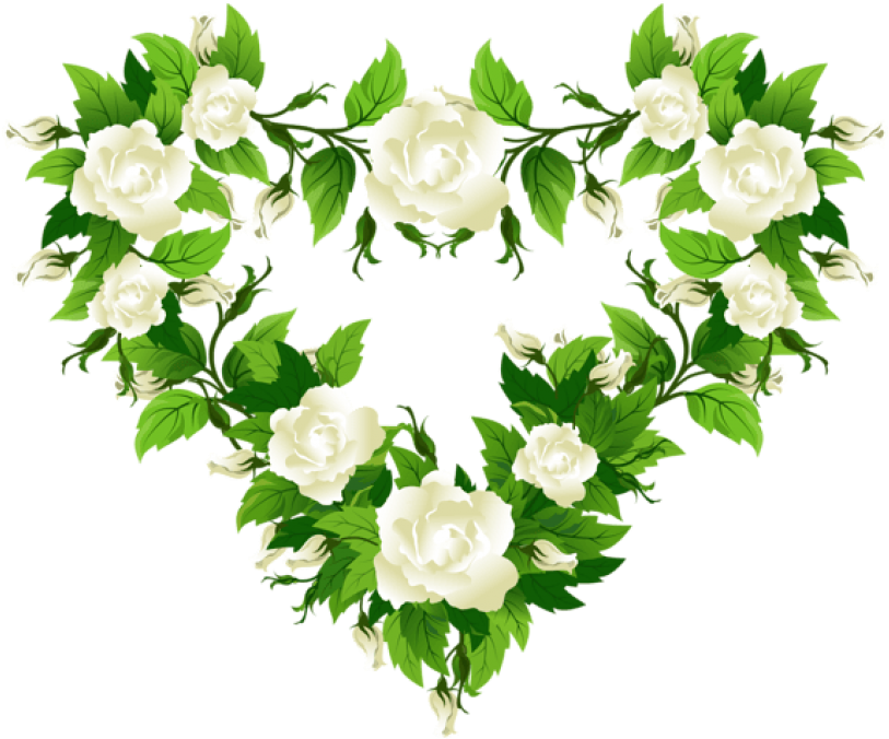 Free Png Download White Roses Heart Decorpicture Clipart - Hybrid Tea Rose Transparent Png (850x703), Png Download
