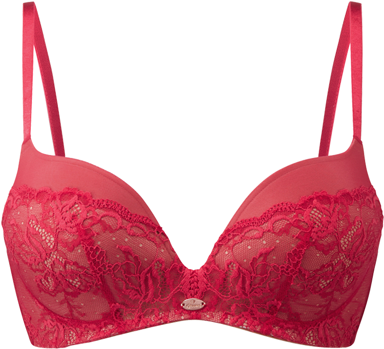 Bra Clipart Large Size Png Image PikPng