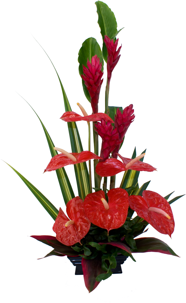 95 Previous Next - Bouquet Clipart (1200x1200), Png Download