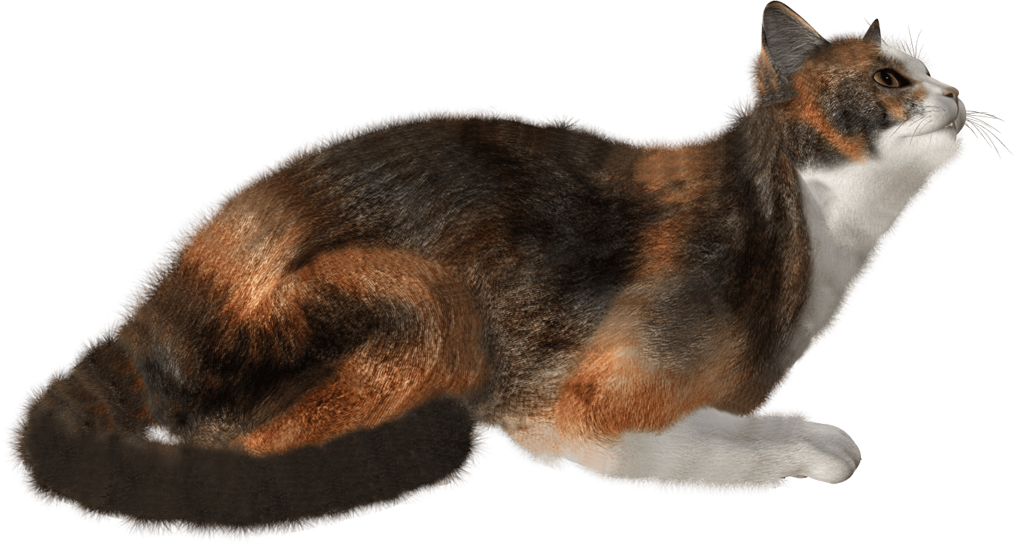 Cat Clipart (1490x1520), Png Download