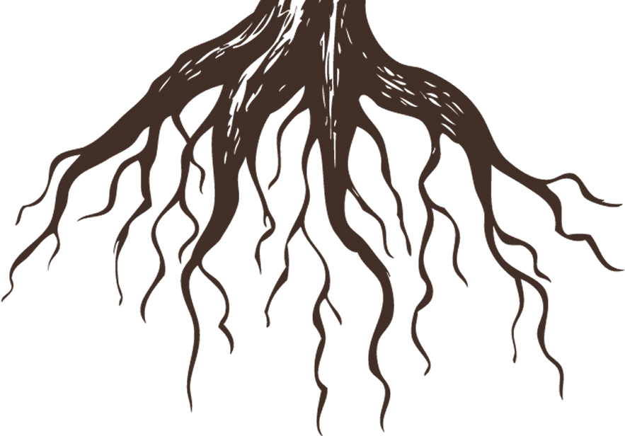 Roots Clinic Isla Mujeres - Tree With Roots Tattoos Clipart (883x616), Png Download