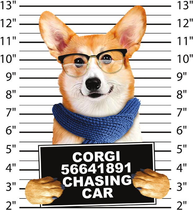 Corgi Mug Shot - Corgi Face Adult T-shirt The Mountain Clipart (675x675), Png Download