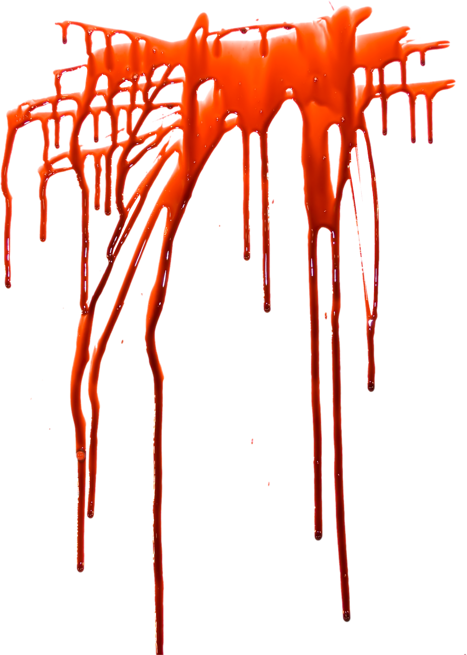 Blood Png Images Free Splashes - Blad Png Clipart (1619x2272), Png Download