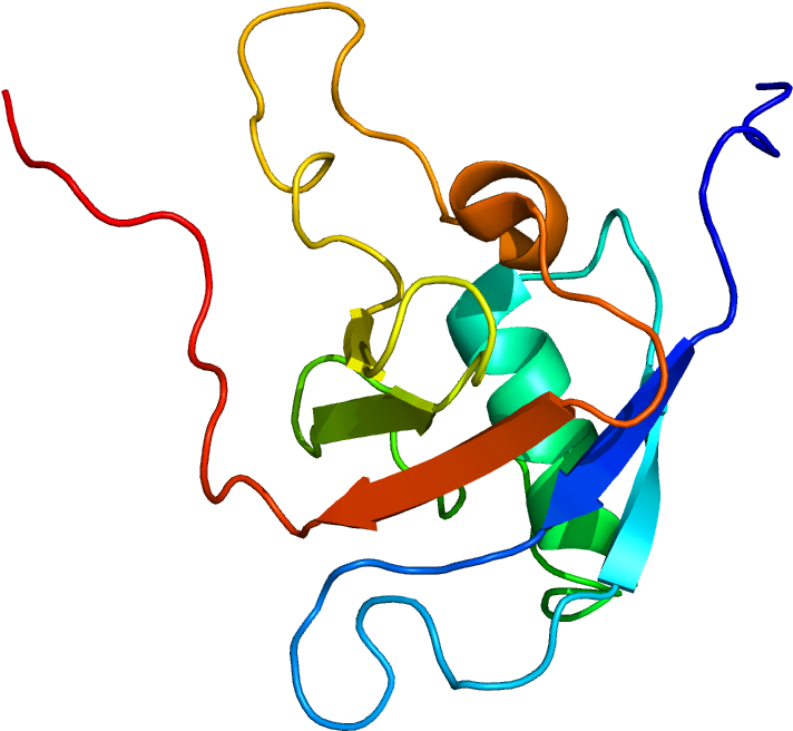 Protein Plxnb1 Pdb 2jph - Illustration Clipart (1200x1000), Png Download