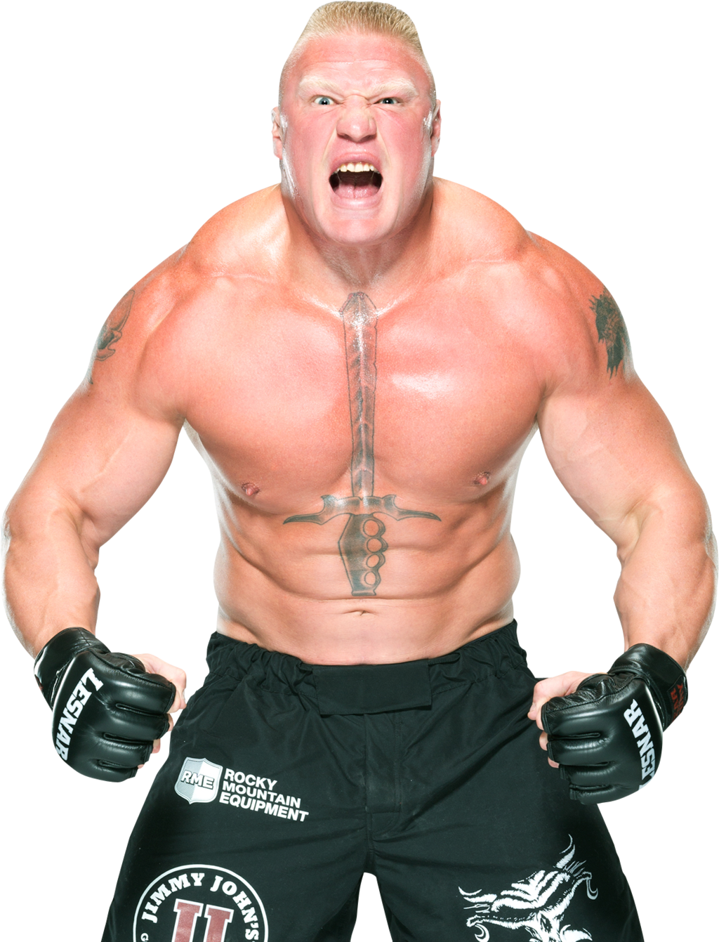 Brock Lesnar Png Pic - Brock Lesnar Png Clipart (1024x1341), Png Download