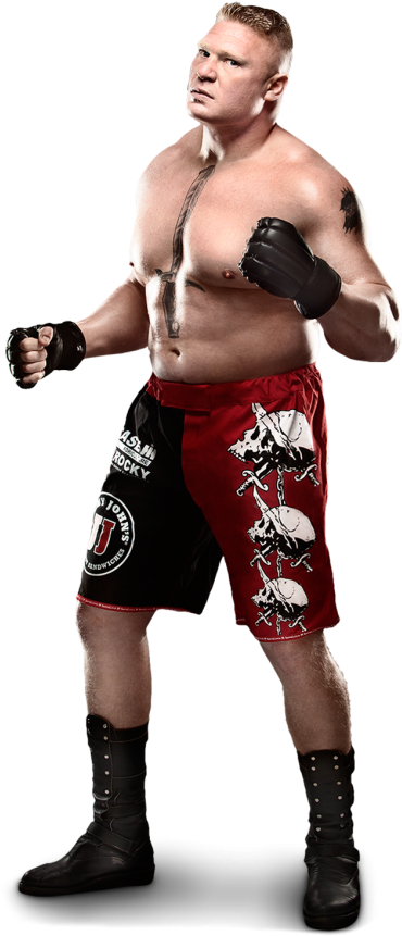 Wwe Achtergrond Possibly With A Homp, Stoere Binken - Wwe Brock Lesnar Attire Clipart (400x910), Png Download