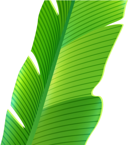 Leaves Clipart Green Tropical - Banana Leaf Png Transparent Png (640x480), Png Download