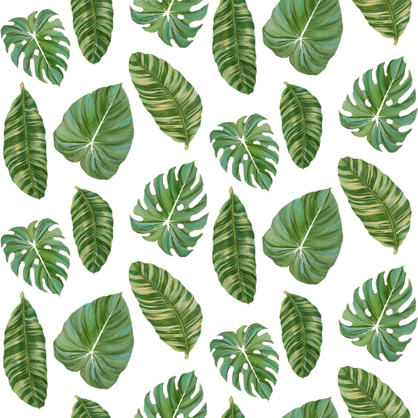 Banana Leaves Png - Tropical Leaf Pattern Transparent Clipart (600x600), Png Download
