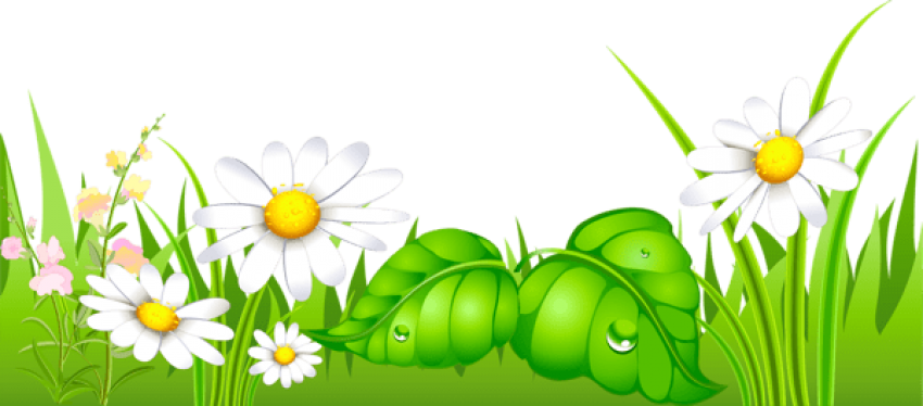 Free Png Download Grass With Daisies Ground Png Images - Happy New Year 2019 Odia Clipart (850x374), Png Download