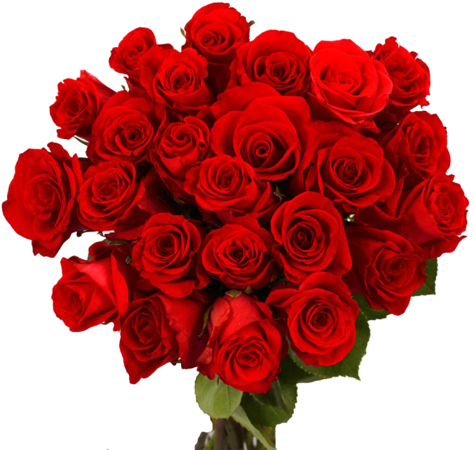 Valentine Day Flower Png Download Image - Gül Ve Çiçek Resimleri Clipart (700x700), Png Download
