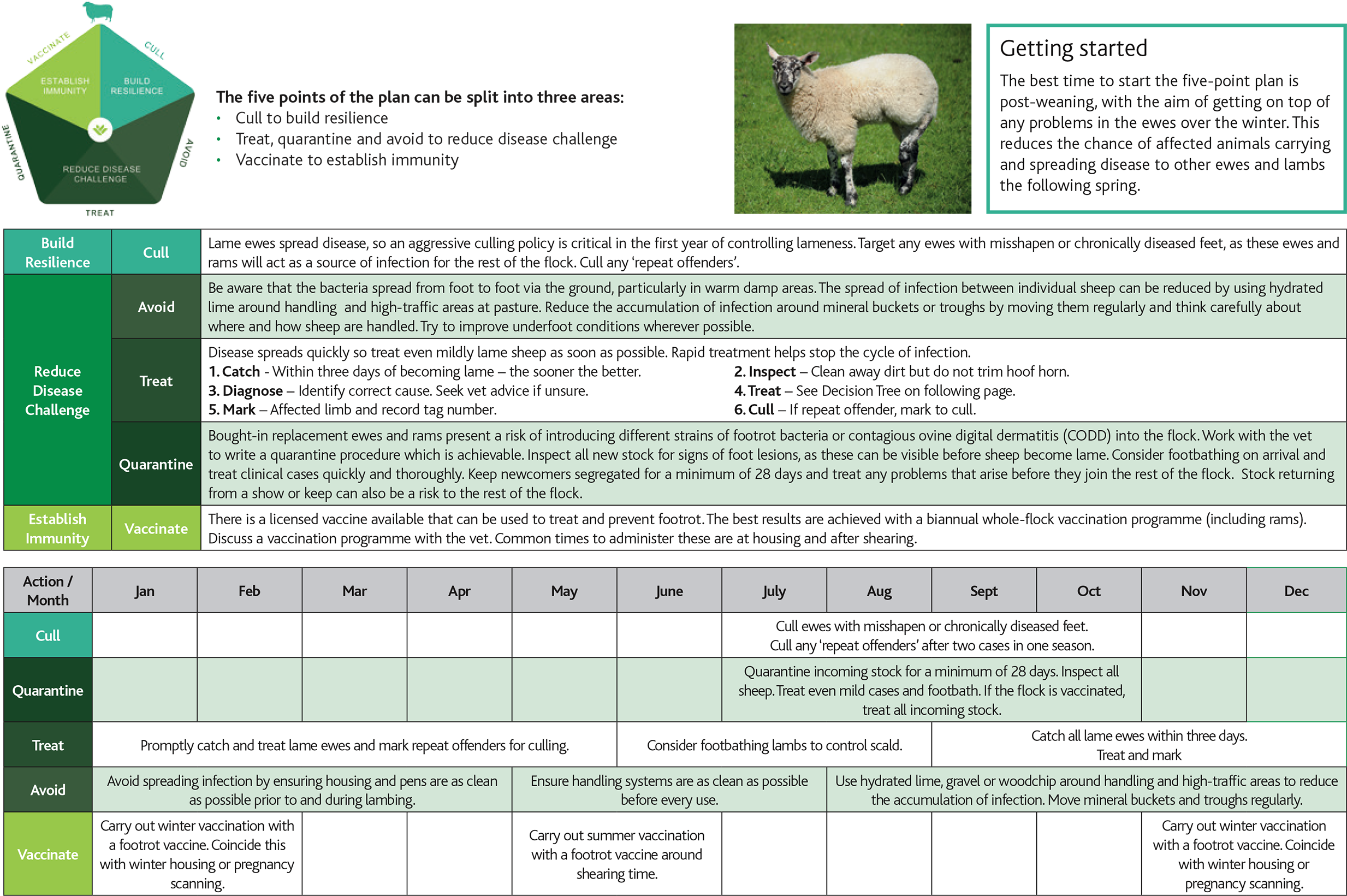 Lameness Decicion Tree And Calender - Sheep Clipart (2500x1654), Png Download
