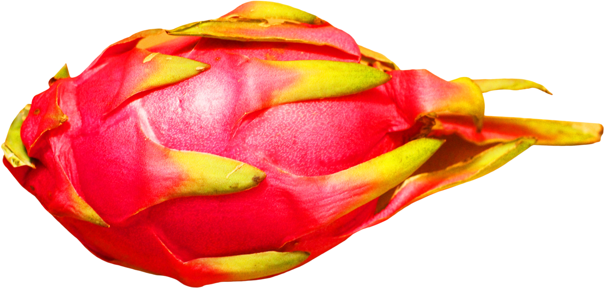 Dragon Fruit - Dragon Fruit Transparent Background Clipart (1218x620), Png Download
