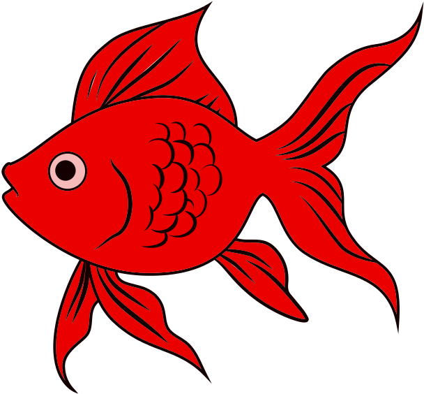 A Goldfish By Samin Samin - Goldfish Svg Clipart (608x564), Png Download