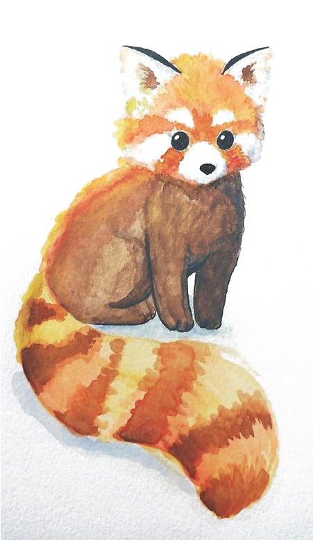 Svg Library Download Red Panda The Giant Bear Raccoon - Easy Animal Watercolour Paintings Clipart (451x777), Png Download
