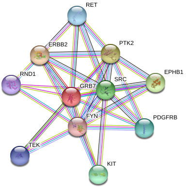 Circle Clipart (975x424), Png Download