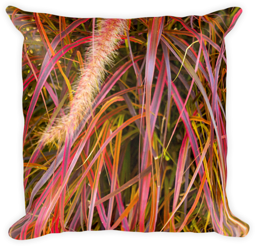 Free Png Download Fountain Grass Png Images Background - Cushion Clipart (850x822), Png Download