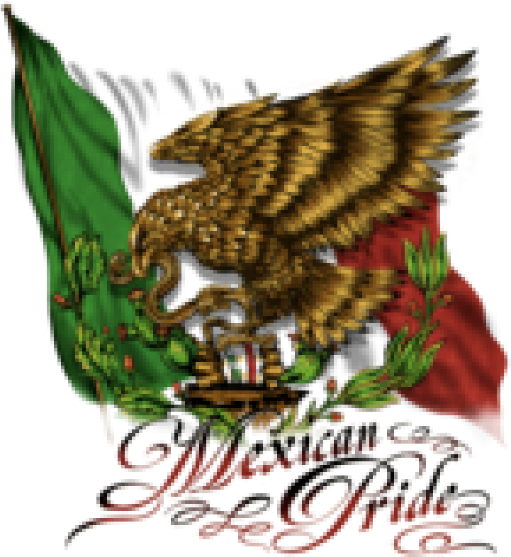 Mexican Flag Eagle - Cool Eagle Mexico Flag Clipart (800x800), Png Download