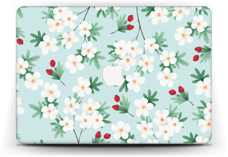Spring Flowers - Jasmine Clipart (800x562), Png Download