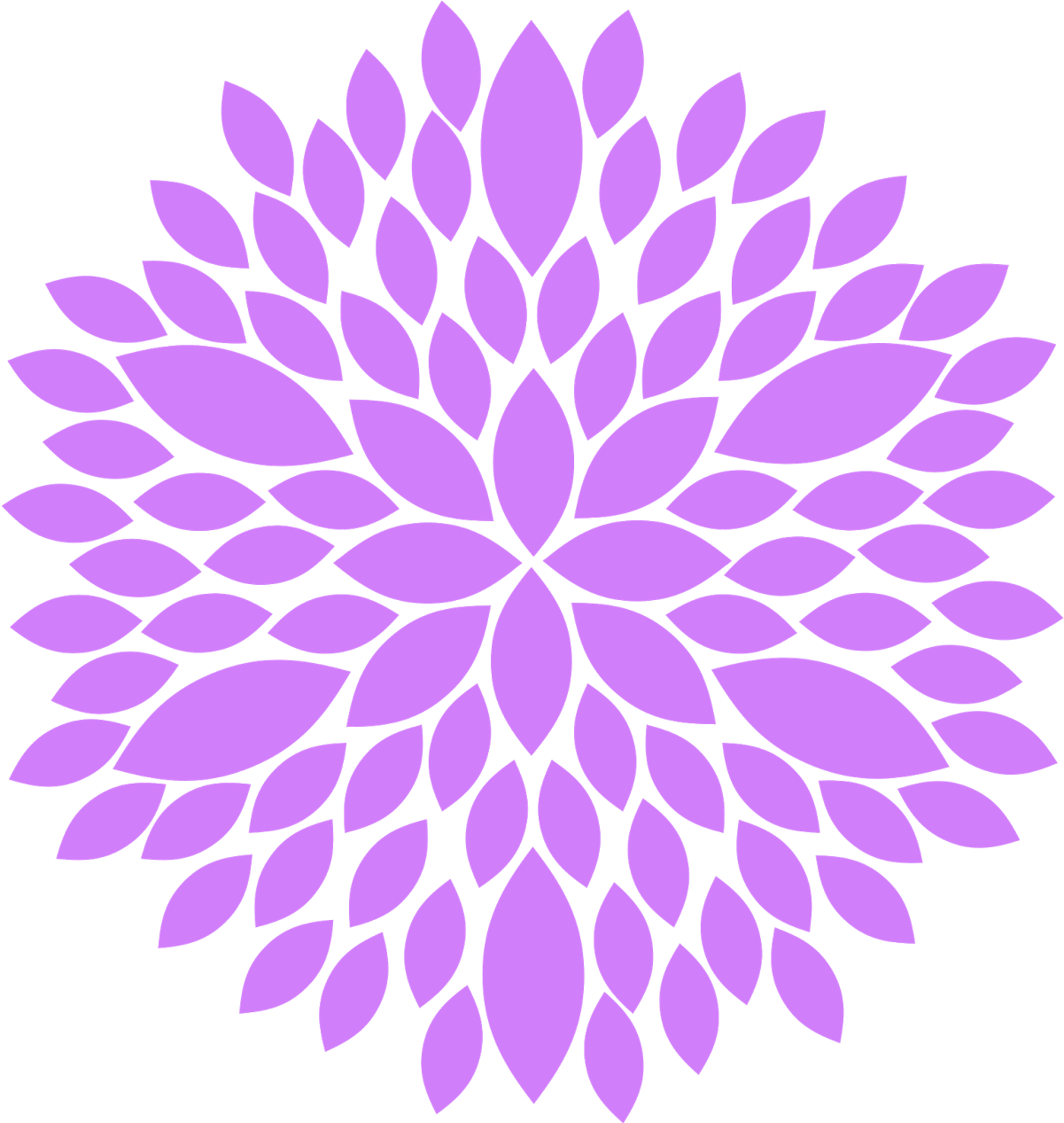 Floral Purple Flowers Clip Art - Dahlia Clip Art Png Transparent Png (1600x1523), Png Download