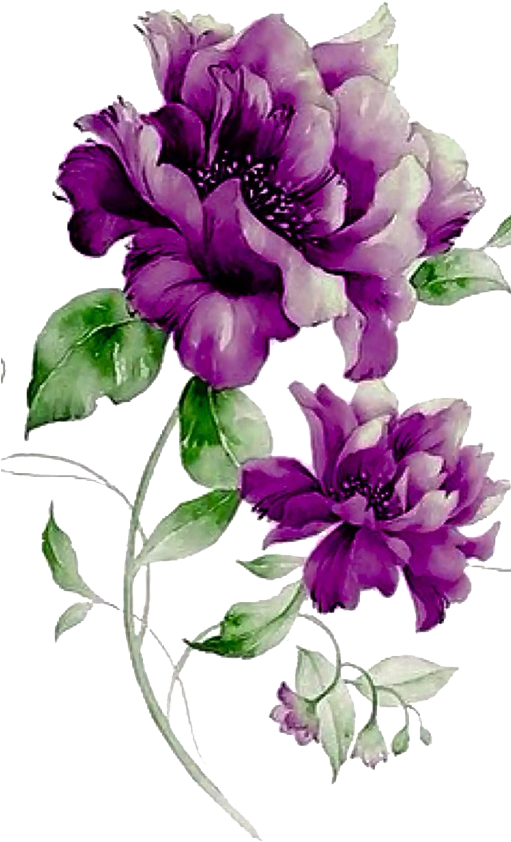 Purple Flowers Png Photo - Purple And Yellow Flowers Background Clipart (510x906), Png Download