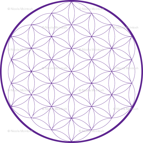 Circle Clipart (562x562), Png Download