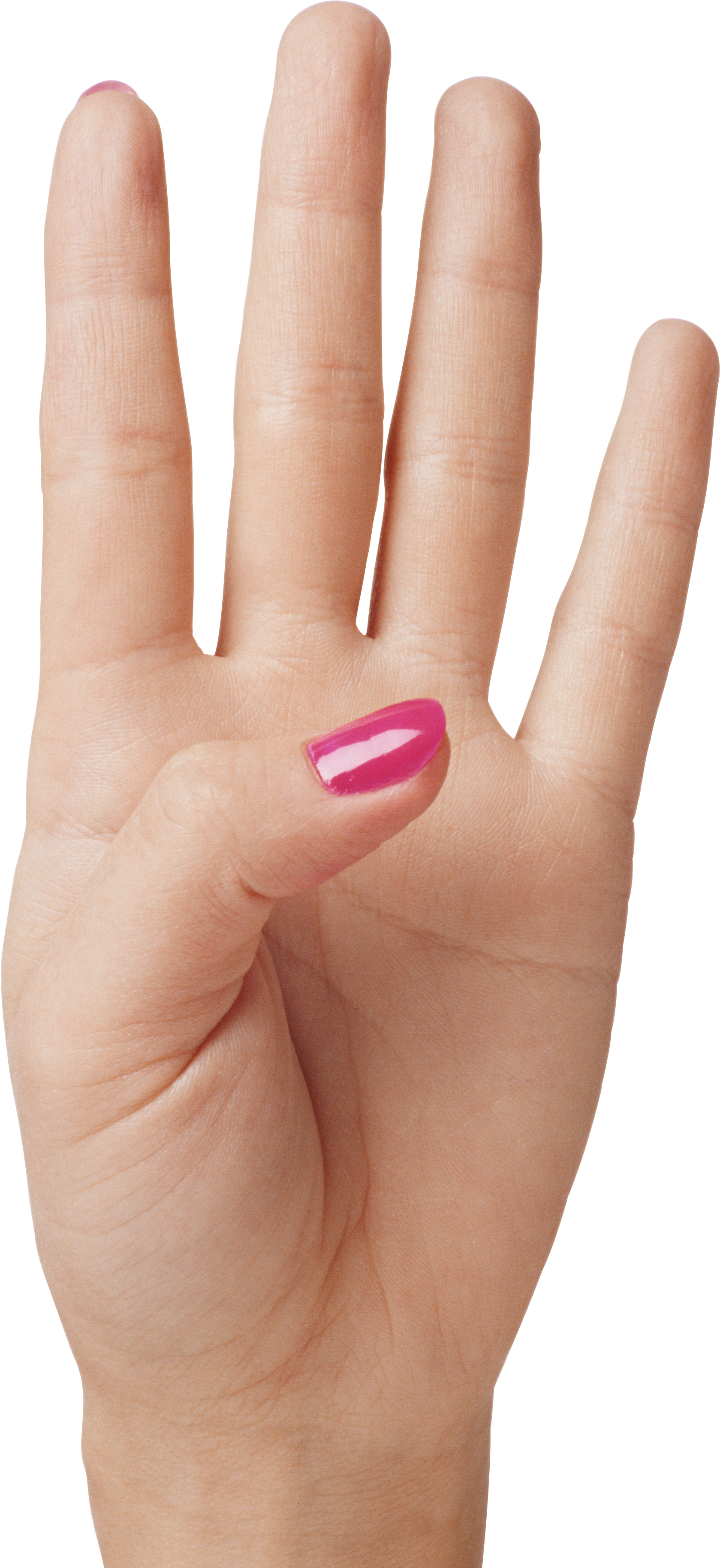 Hand Showing Four Fingers Png Clipart Image - Hand Showing Four Fingers Transparent Png (2565x3740), Png Download