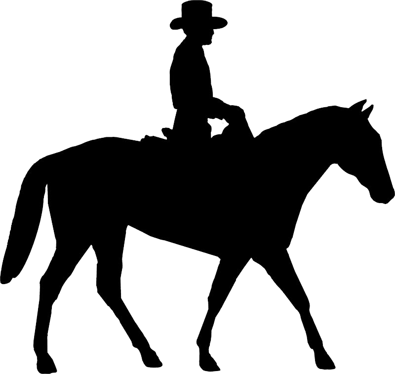 Cowboy Silhouette Png - Horse Riding Clipart Transparent Png (800x757), Png Download