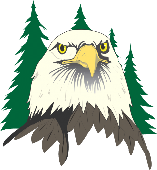 Eagle - Eagle Head Clipart - Png Download (664x720), Png Download