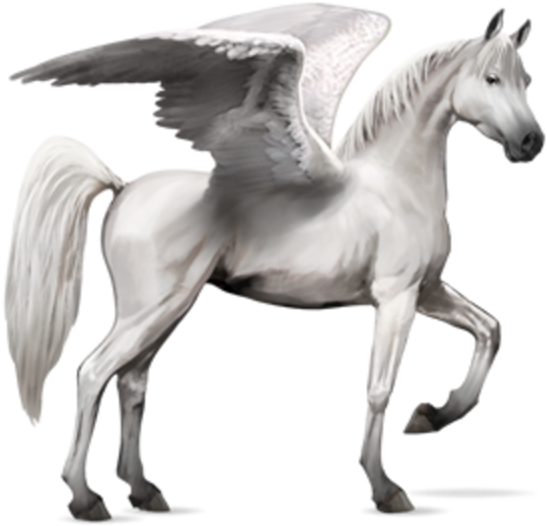 Horse Wings - Howrse Arabian Horse Clipart (564x569), Png Download