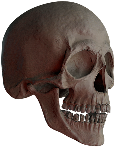 Skull, Skull And Crossbones, Bone, Creepy, Weird, Death - Crâne Tête De Mort Clipart (720x720), Png Download