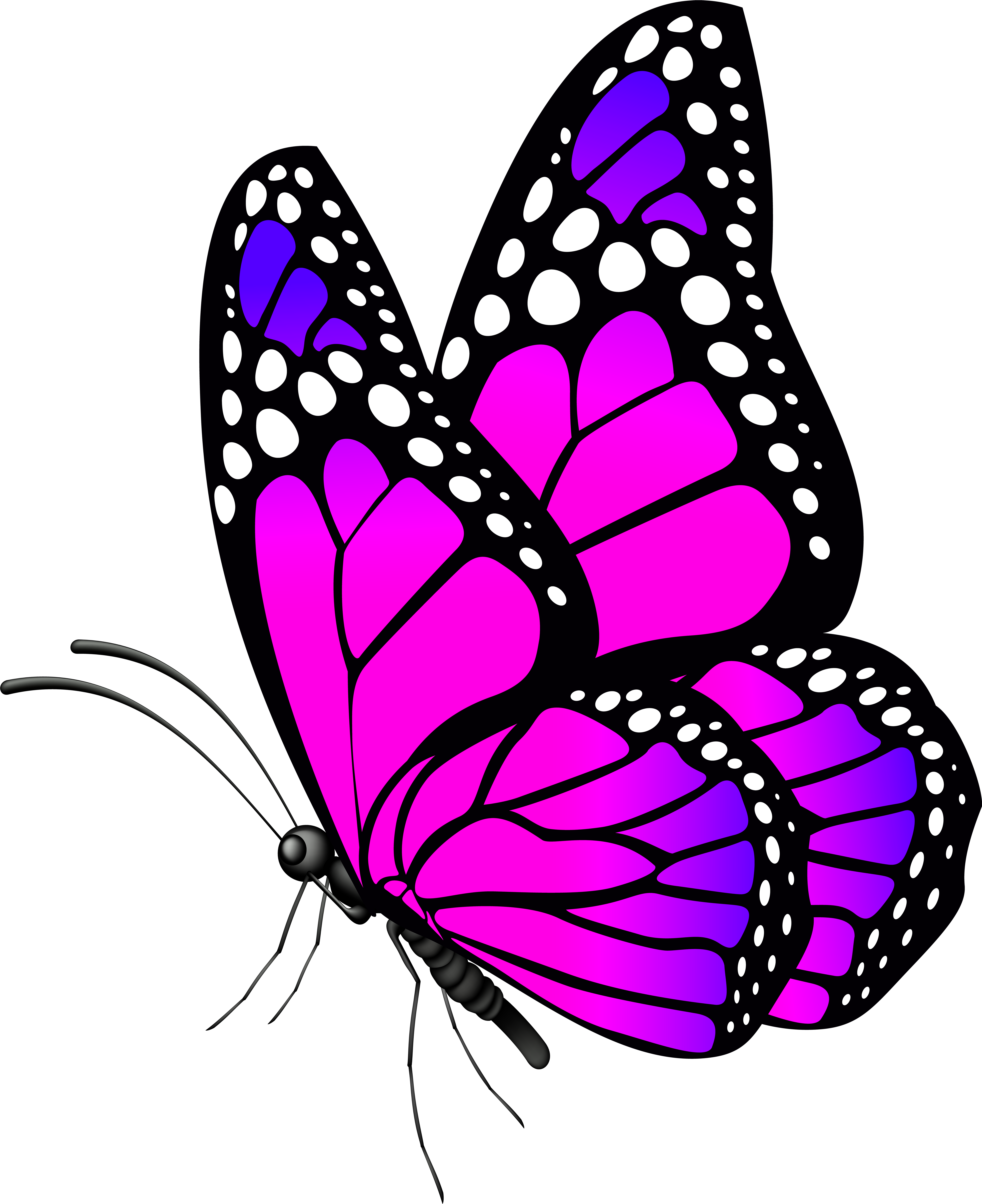 Butterfly Pink Png Clip Art Image Transparent Png (6521x8000), Png Download