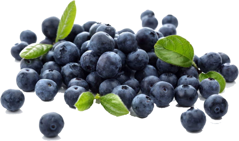 Buy Blueberry In Pakistan Clipart (831x532), Png Download