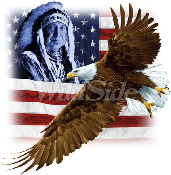 Eagle Flag Picture Clipart (585x601), Png Download
