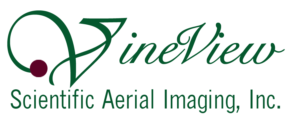 Sai-logo - Calligraphy Clipart (987x393), Png Download