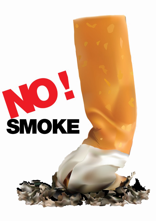 No Smoking Png Image Background - No Smoking Background Png Clipart (650x919), Png Download