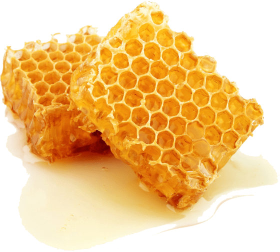 Free Png Download Honey Png Images Background Png Images - Royal Jelly Honey Comb Clipart (850x557), Png Download