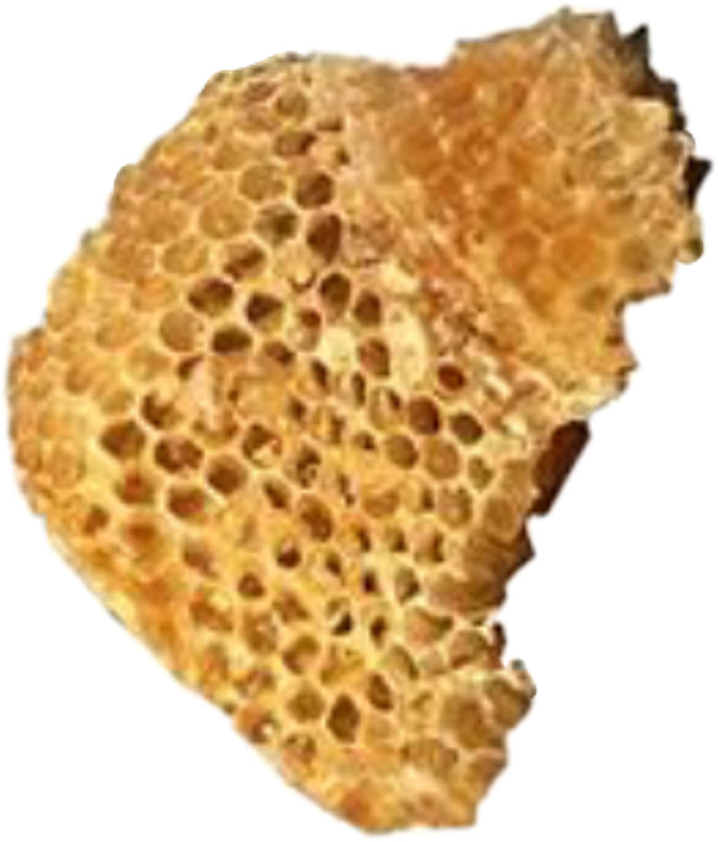 Moodboard Sticker - Honeycomb Clipart (1024x1200), Png Download