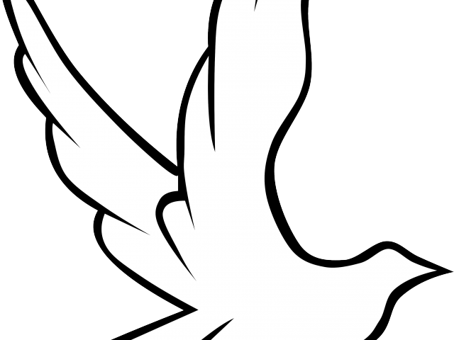 Doves Clipart - Dibujo De Paloma Con Rosa - Png Download (640x480), Png Download