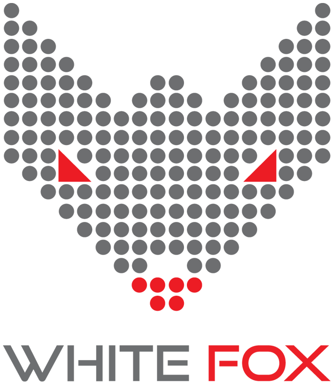 Arjun Jain White Fox Clipart (885x1023), Png Download