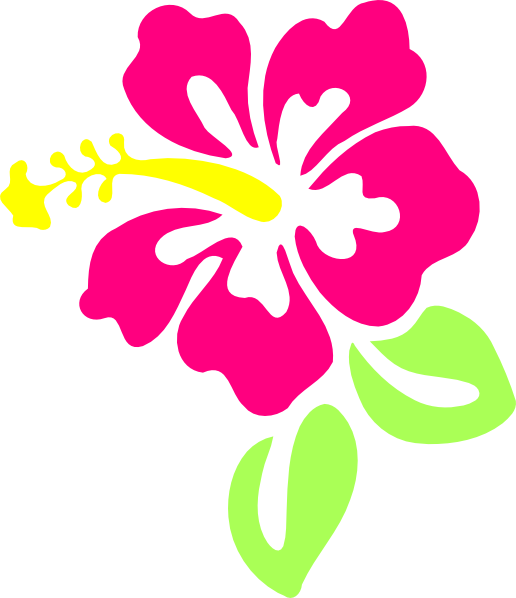 Hibiscus Png Clipart (516x598), Png Download