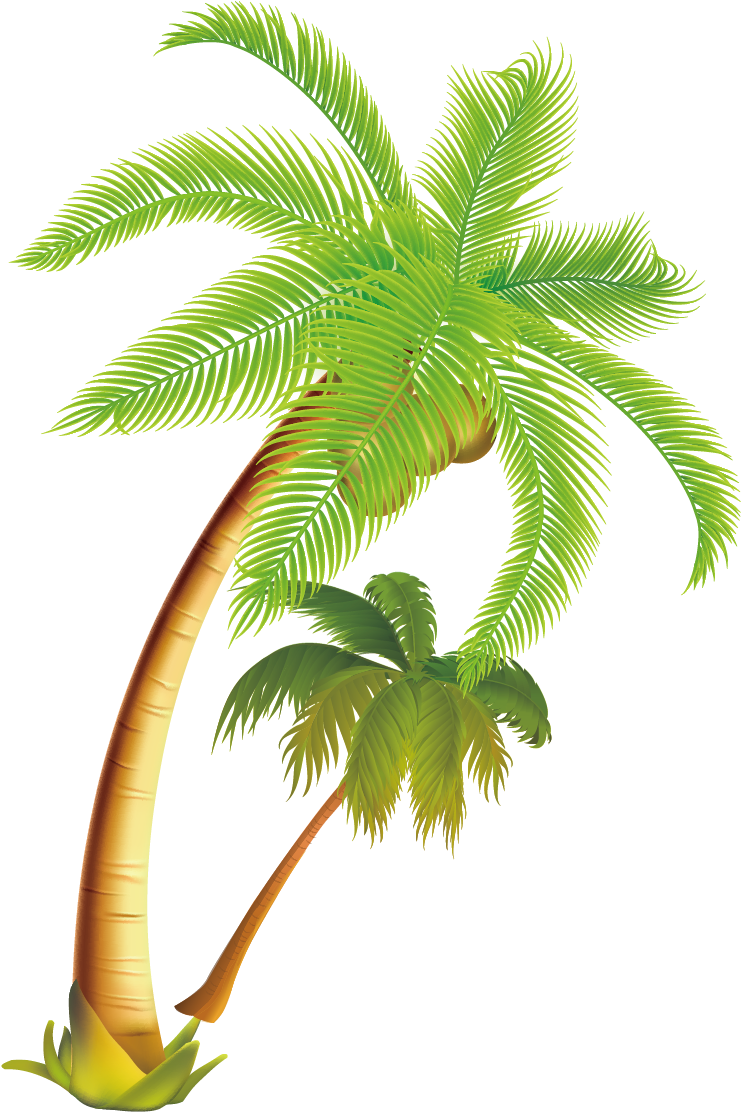 Arecaceae Coconut Tropical Material - Palm Trees Vector Png Clipart (1240x1276), Png Download