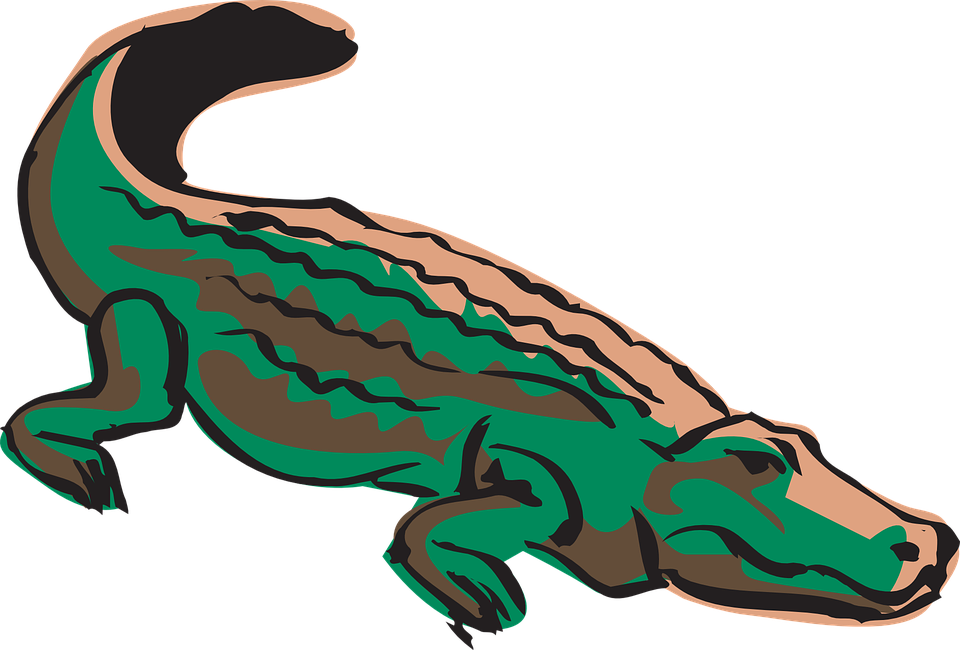 Crocodile Png Images With Transparent Background - Caiman De Anteojos Animado Clipart (960x650), Png Download