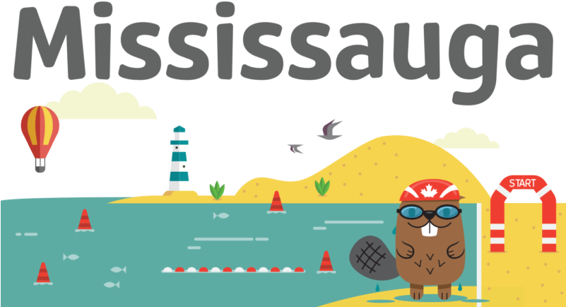 Kit's History - Illustration Clipart (800x500), Png Download