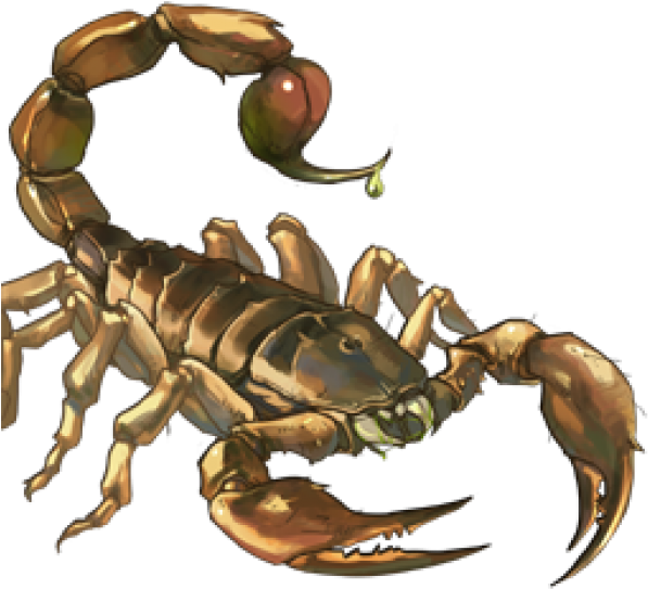 Scorpion Png Free Download - Escorpião Png Clipart (600x600), Png Download