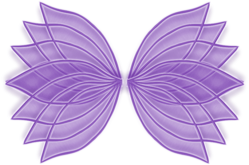 Free Png Download Deal Of The Day Png Images Background - Auckland War Memorial Museum Clipart (850x562), Png Download