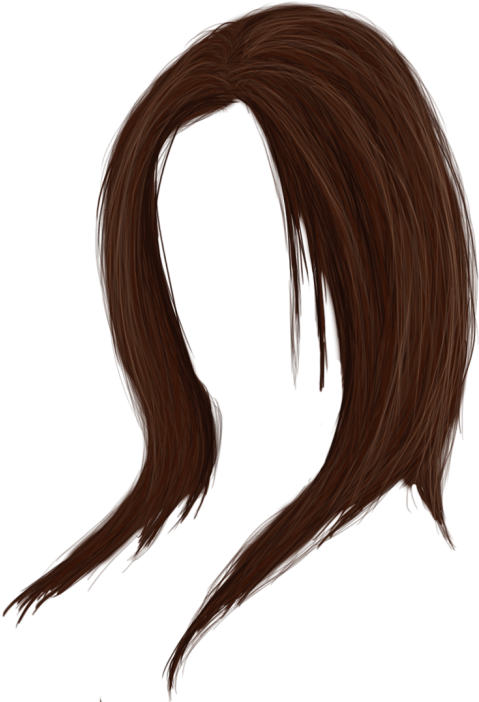 Free Png Women Hair Png Images Transparent - Woman Hair Png Clipart (480x708), Png Download
