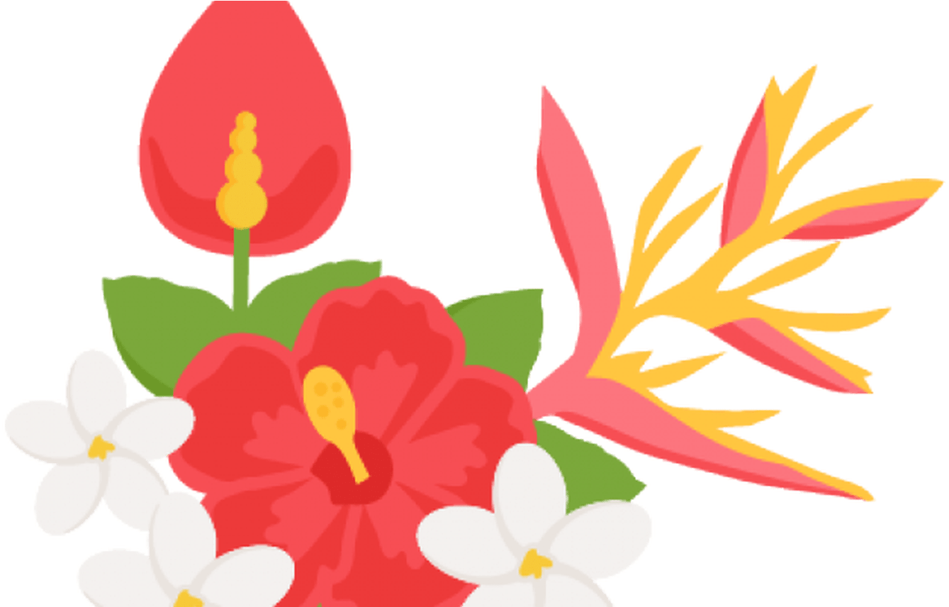 15 Tropical Flowers Border Png For Free Download On - Tropical Flowers Clipart Png Transparent Png (1368x855), Png Download