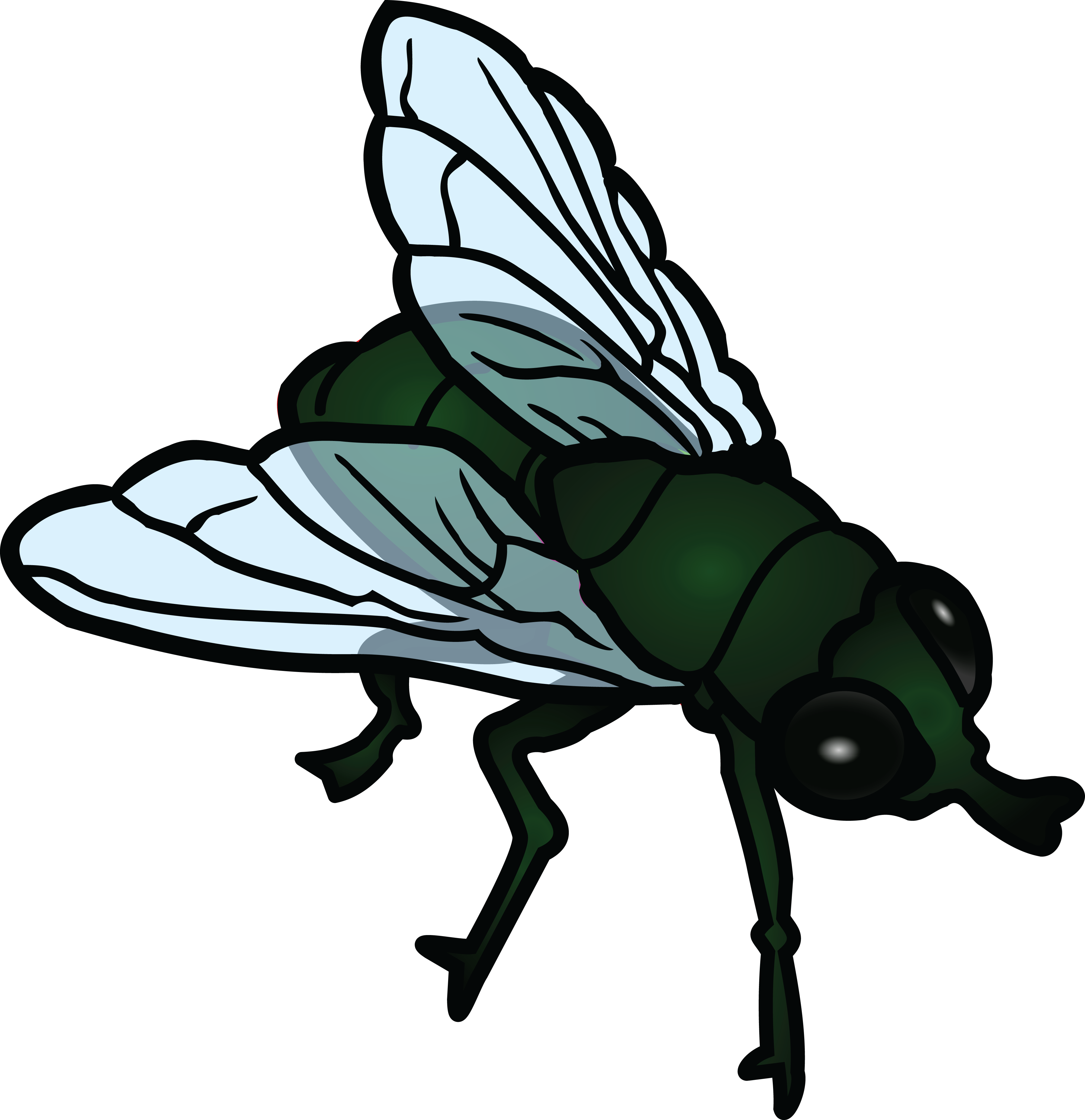 Fly Png Photos - Flies Clip Art Transparent Png (4000x4130), Png Download