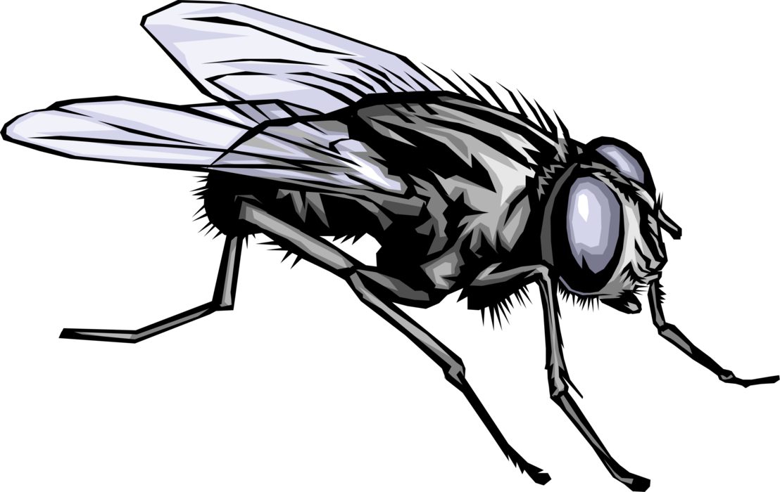 1108 X 700 13 - Home Fly Clipart Black And White - Png Download (1108x700), Png Download